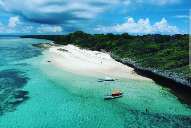 Full day Tour Pungume Island with Buffet Lunch