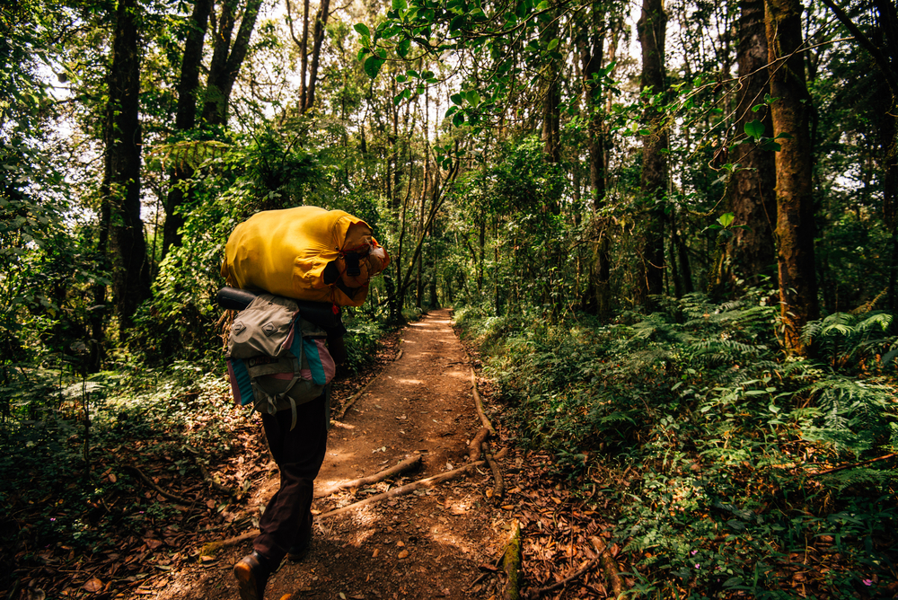 Mount Kilimanjaro National Park trail to start