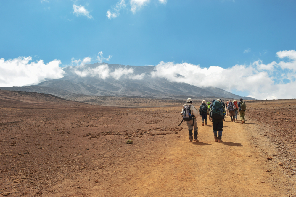 Mount Kilimanjaro National Park trek to Kibo