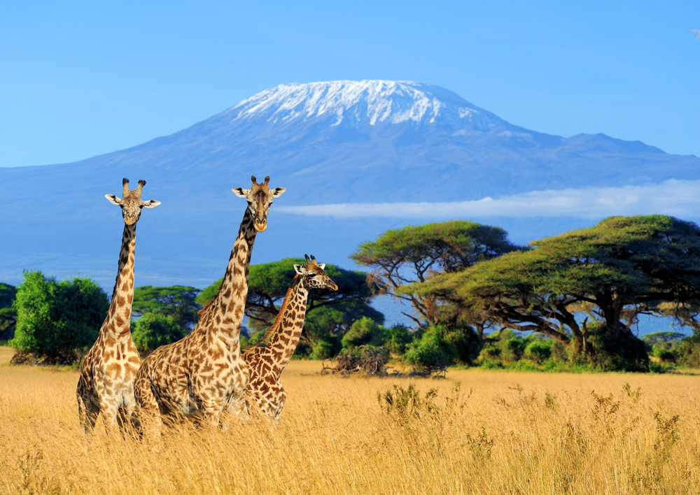 Mount Kilimanjaro National Park view from Kenya