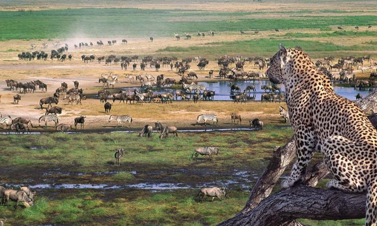 Ngorongoro-Facts-750x450-1