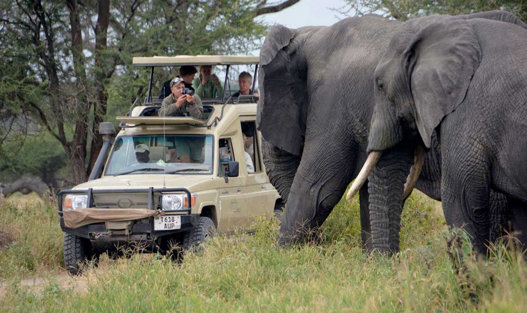 tarangire-national-park-day-trip-1024x608