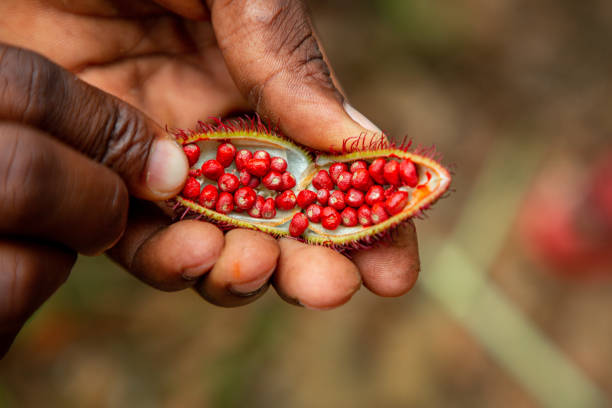 Village Tour, Cooking Class & Spice Farm with Swahili Lunch