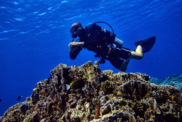 PADI Discover Scuba Diving