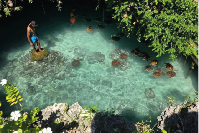 Swimming with Turtles at Salaam Cave